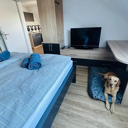 Mit Blick Aufs Schloss *