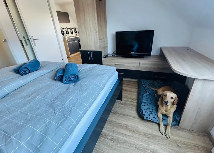 Mit Blick Aufs Schloss *